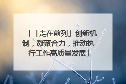 「走在前列」创新机制，凝聚合力，推动执行工作高质量发展